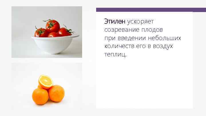 Этилен ускоряет созревание плодов при введении небольших количеств его в воздух теплиц. 