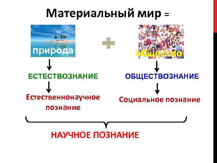 Наука презентация 11 класс профильный уровень обществознание