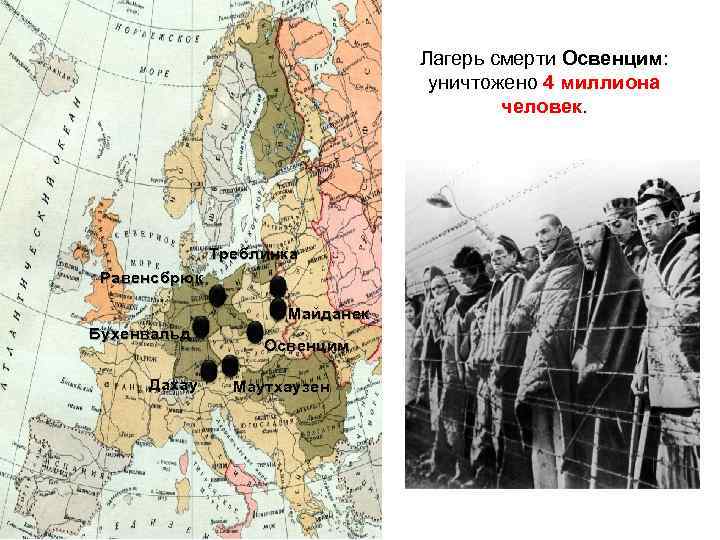 Лагерь смерти Освенцим: уничтожено 4 миллиона человек. Треблинка Равенсбрюк Майданек Бухенвальд Дахау Освенцим Маутхаузен