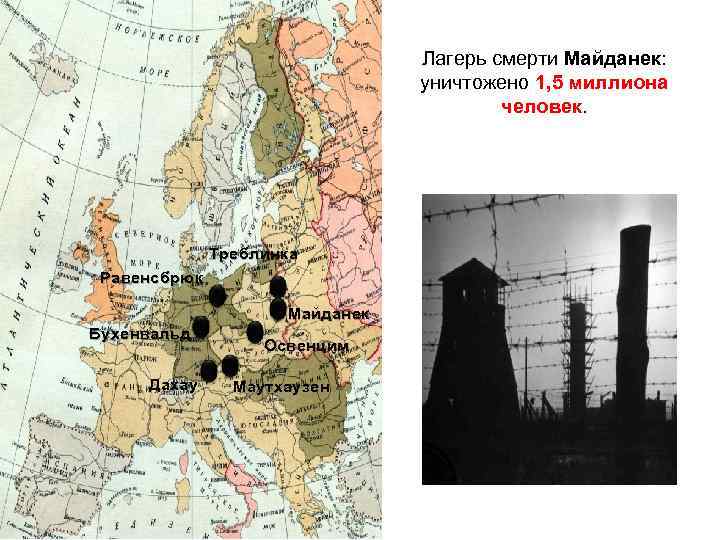 Лагерь смерти Майданек: уничтожено 1, 5 миллиона человек. Треблинка Равенсбрюк Майданек Бухенвальд Дахау Освенцим