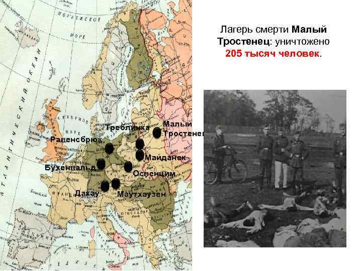 Лагерь смерти Малый Тростенец: уничтожено 205 тысяч человек. Треблинка Равенсбрюк Малый Тростенец Майданек Бухенвальд