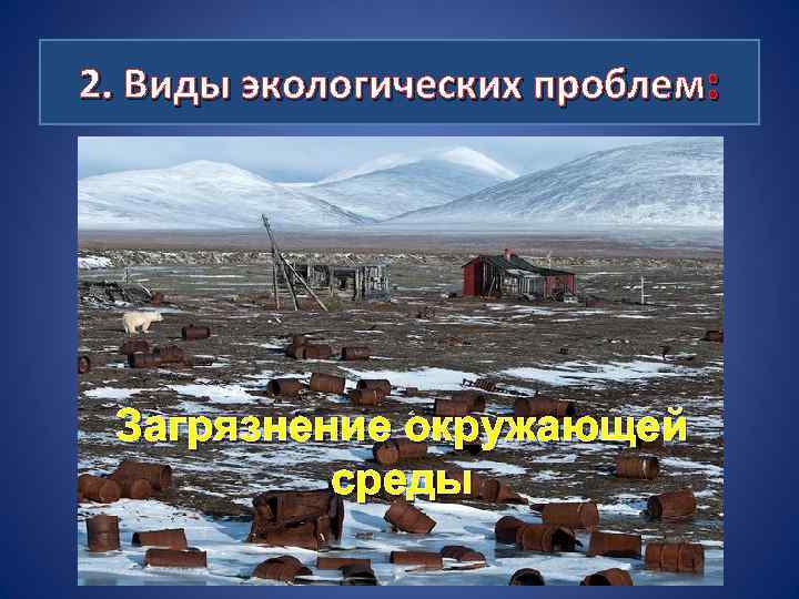 2. Виды экологических проблем: Загрязнение окружающей среды 