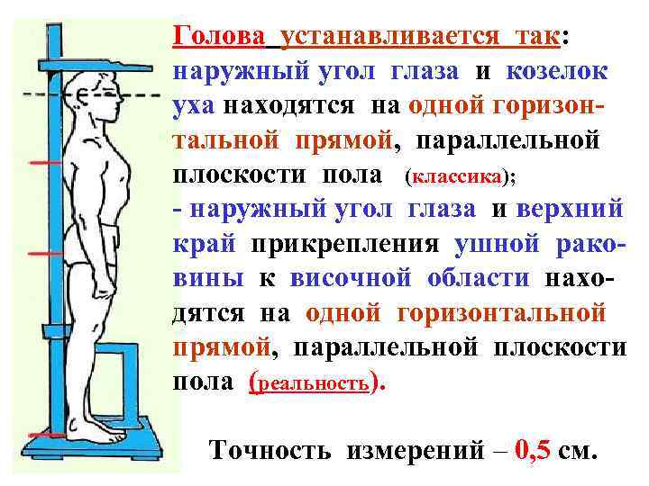 Голова устанавливается так: наружный угол глаза и козелок уха находятся на одной горизонтальной прямой,