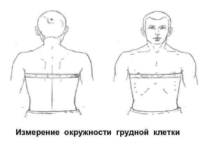 Измерение окружности грудной клетки 