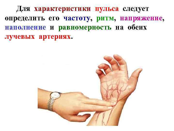 Для характеристики пульса следует определить его частоту, ритм, напряжение, наполнение и равномерность на обеих