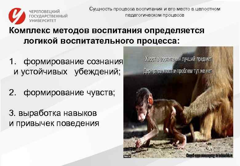 Сущность процесса воспитания и его место в целостном педагогическом процессе Комплекс методов воспитания определяется