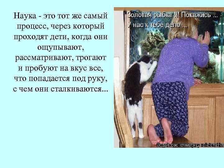 Наука это тот же самый процесс, через который проходят дети, когда они ощупывают, рассматривают,