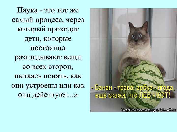 Наука это тот же самый процесс, через который проходят дети, которые постоянно разглядывают вещи
