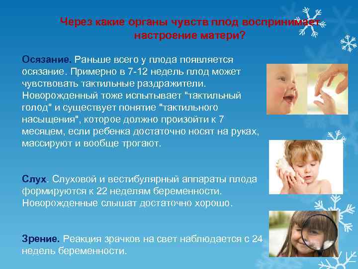 Через какие органы чувств плод воспринимает настроение матери? Осязание. Раньше всего у плода появляется