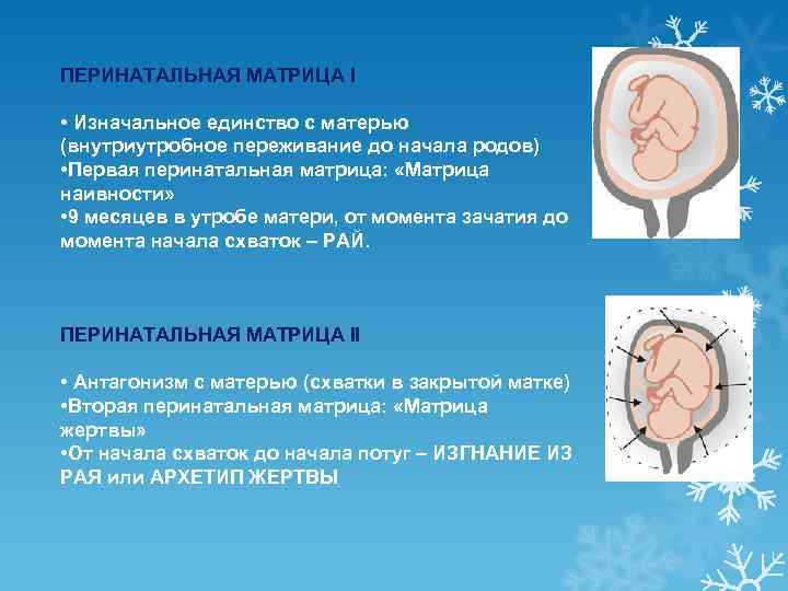 ПЕРИНАТАЛЬНАЯ МАТРИЦА I • Изначальное единство с матерью (внутриутробное переживание до начала родов) •