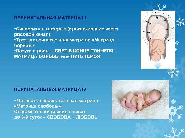 ПЕРИНАТАЛЬНАЯ МАТРИЦА III • Синергизм с матерью (проталкивание через родовой канал) • Третья перинатальная