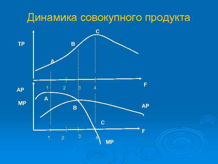 Динамика совокупного продукта C ТР B A АР МР 1 2 3 F 4