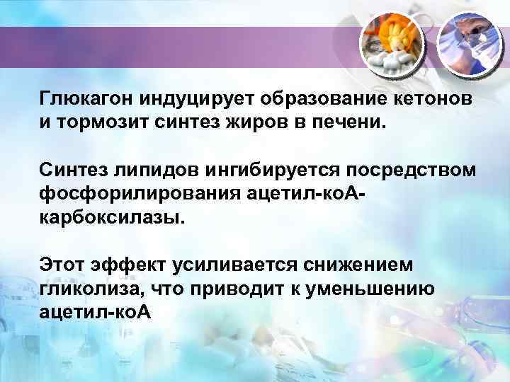 Глюкагон индуцирует образование кетонов и тормозит синтез жиров в печени. Синтез липидов ингибируется посредством