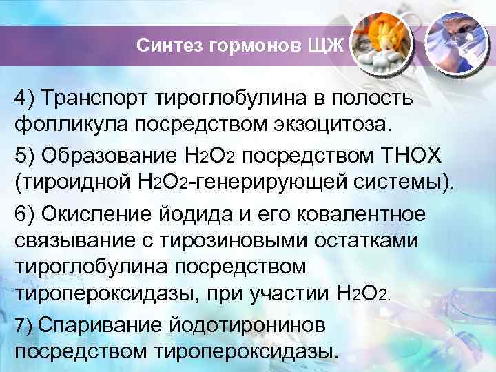 Синтез гормонов ЩЖ 4) Транспорт тироглобулина в полость фолликула посредством экзоцитоза. 5) Образование Н
