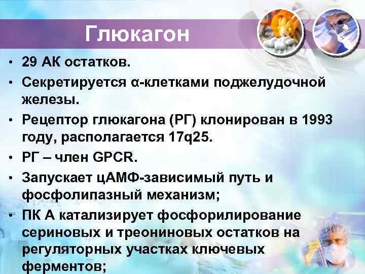 Глюкагон • 29 АК остатков. • Секретируется α-клетками поджелудочной • • железы. Рецептор глюкагона