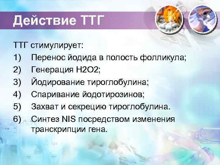 Действие ТТГ стимулирует: 1) Перенос йодида в полость фолликула; 2) Генерация Н 2 О