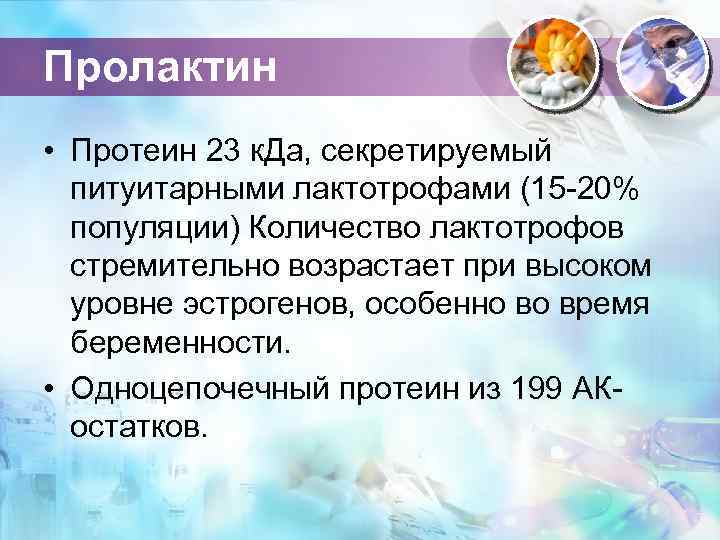Пролактин • Протеин 23 к. Да, секретируемый питуитарными лактотрофами (15 -20% популяции) Количество лактотрофов