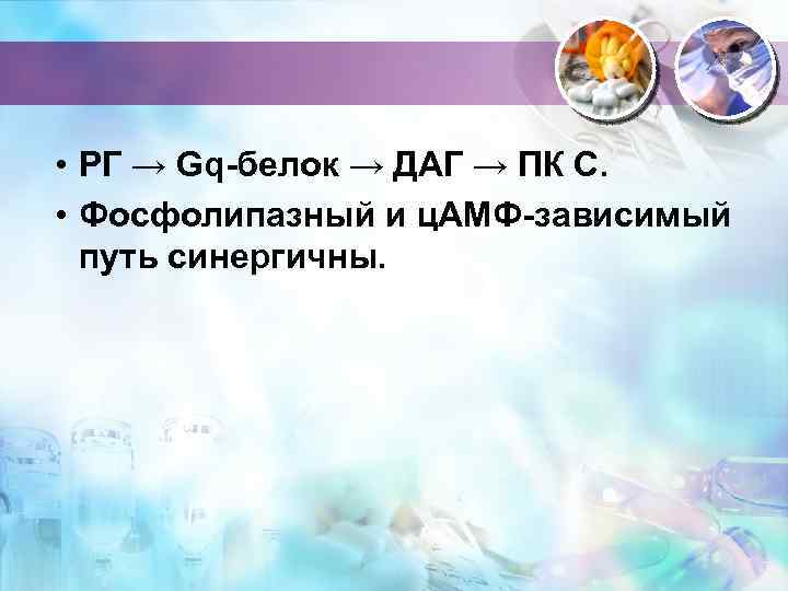  • РГ → Gq-белок → ДАГ → ПК С. • Фосфолипазный и ц.