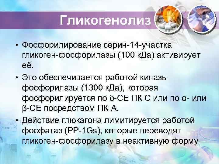 Гликогенолиз • Фосфорилирование серин-14 -участка гликоген-фосфорилазы (100 к. Да) активирует её. • Это обеспечивается