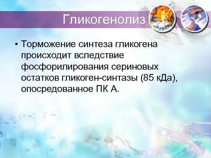 Гликогенолиз • Торможение синтеза гликогена происходит вследствие фосфорилирования сериновых остатков гликоген-синтазы (85 к. Да),