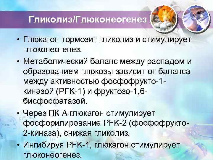 Гликолиз/Глюконеогенез • Глюкагон тормозит гликолиз и стимулирует глюконеогенез. • Метаболический баланс между распадом и