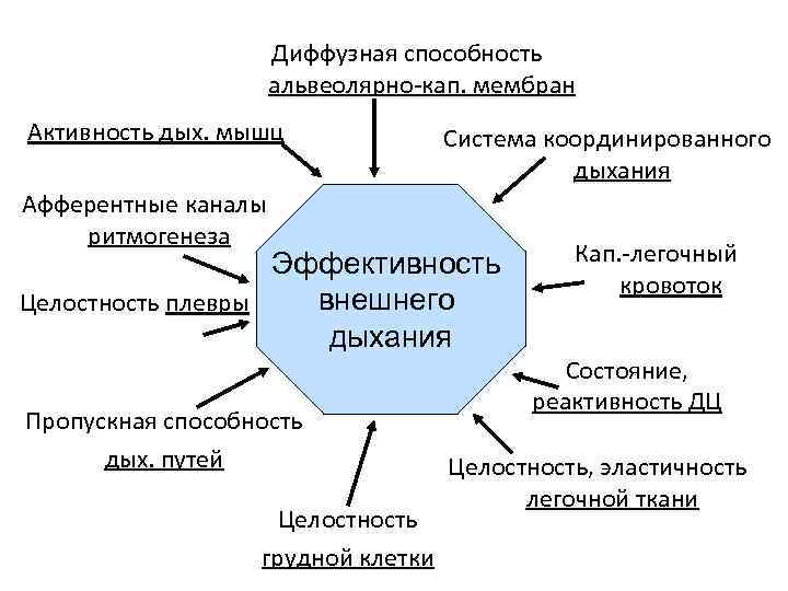 Диффузная способность альвеолярно-кап. мембран Активность дых. мышц Афферентные каналы ритмогенеза Система координированного дыхания Эффективность