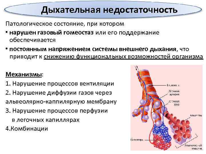 Дыхательная недостаточность Патологическое состояние, при котором • нарушен газовый гомеостаз или его поддержание обеспечивается