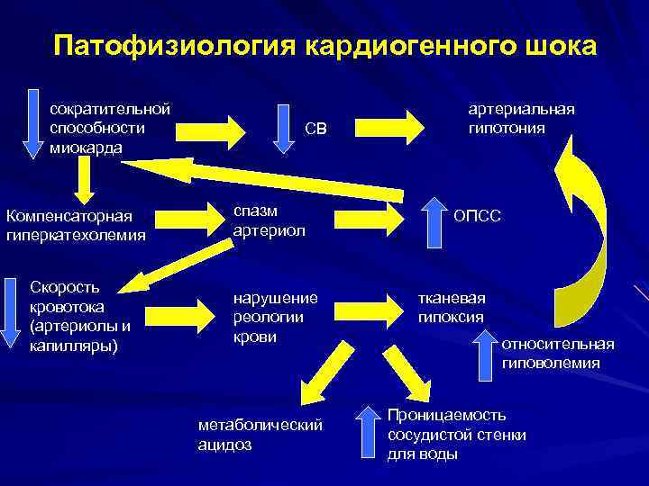 Патофизиология кардиогенного шока сократительной способности миокарда Компенсаторная гиперкатехолемия Скорость кровотока (артериолы и капилляры) СВ