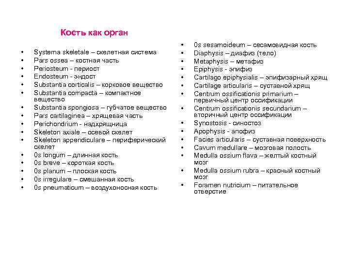Кость как орган • • • • Systema skeletale – скелетная система Pars ossea