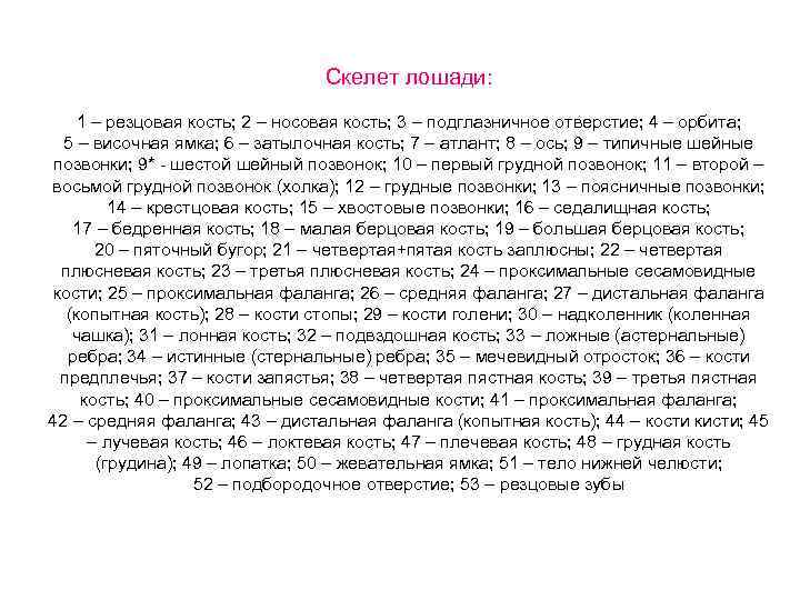 Скелет лошади: 1 – резцовая кость; 2 – носовая кость; 3 – подглазничное отверстие;