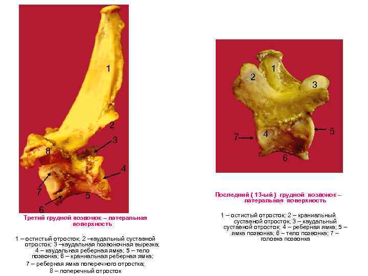 1 1 2 2 7 3 8 3 5 4 6 4 7 5