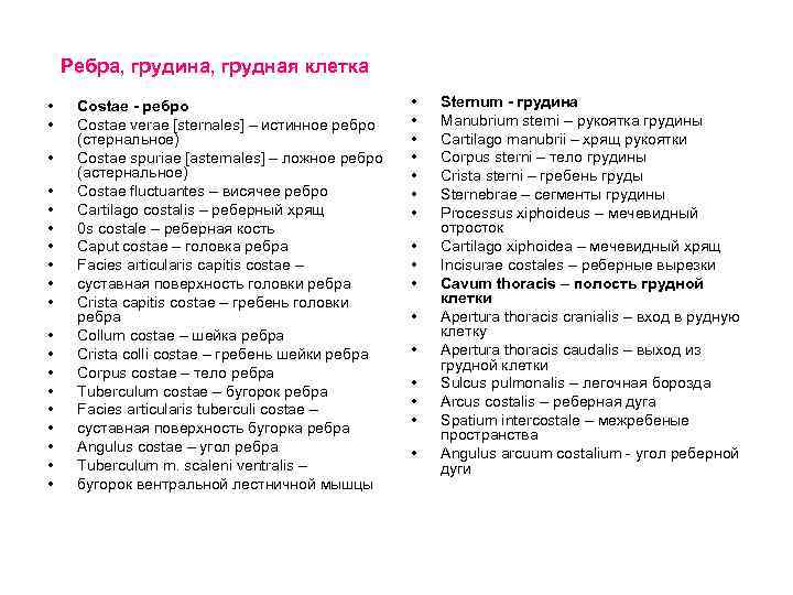Ребра, грудина, грудная клетка • • • • • Costae - ребро Costae verae
