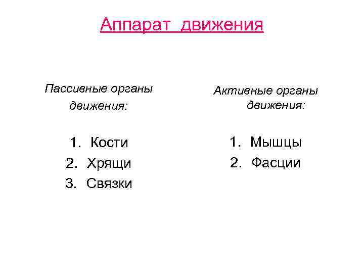 Аппарат движения Пассивные органы движения: Активные органы движения: 1. Кости 2. Хрящи 3. Связки