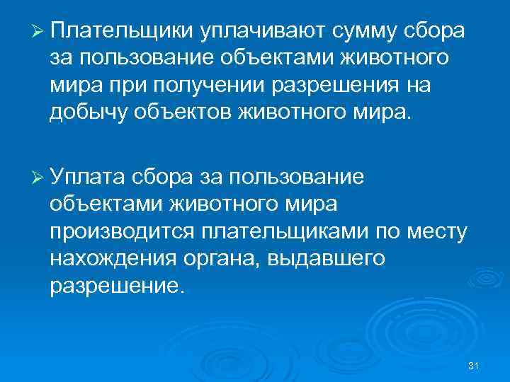 Ø Плательщики уплачивают сумму сбора за пользование объектами животного мира при получении разрешения на