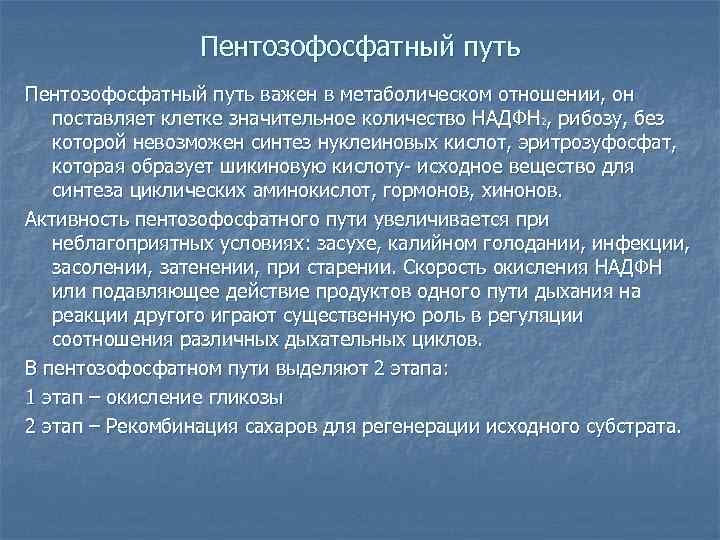 Пентозофосфатный путь важен в метаболическом отношении, он поставляет клетке значительное количество НАДФН 2, рибозу,