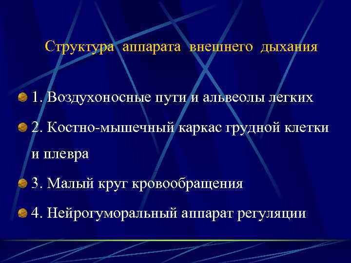 Структура аппарата внешнего дыхания 1. Воздухоносные пути и альвеолы легких 2. Костно-мышечный каркас грудной