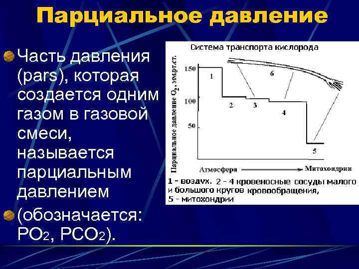 Парциальное давление Часть давления (pars), которая создается одним газом в газовой смеси, называется парциальным