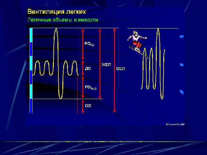 ДО – дыхательный объем, РОвд – резервный объем вдоха, Ровыд – резервный объем выдоха,