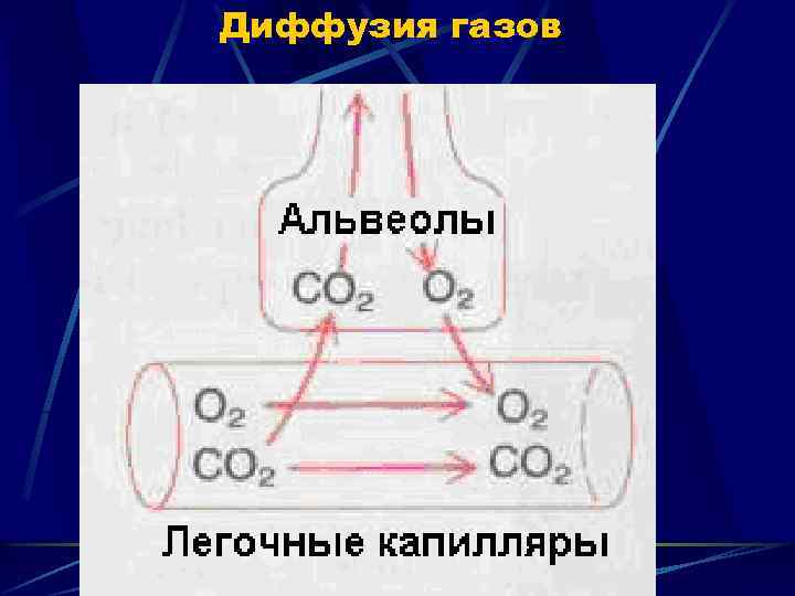 Диффузия газов 