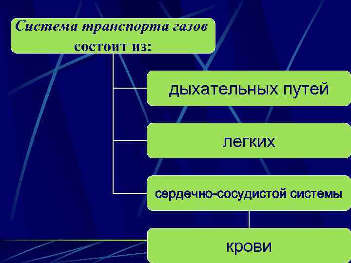 Система транспорта газов состоит из: дыхательных путей легких сердечно-сосудистой системы крови 