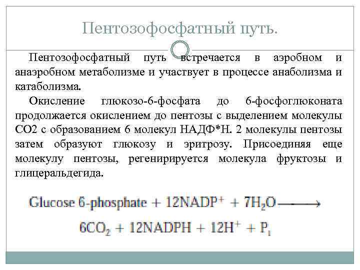 Пентозофосфатный путь встречается в аэробном и анаэробном метаболизме и участвует в процессе анаболизма и