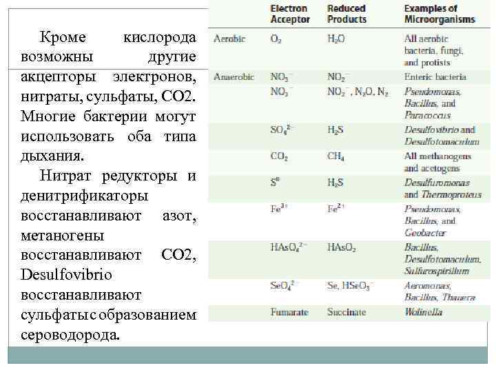 Кроме кислорода возможны другие акцепторы электронов, нитраты, сульфаты, СО 2. Многие бактерии могут использовать