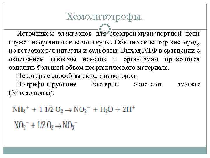 Энергия окисления неорганических веществ. Хемолитотрофы. Источник электронов. Хемолитотрофы это микробиология. Хемолитотрофы примеры.