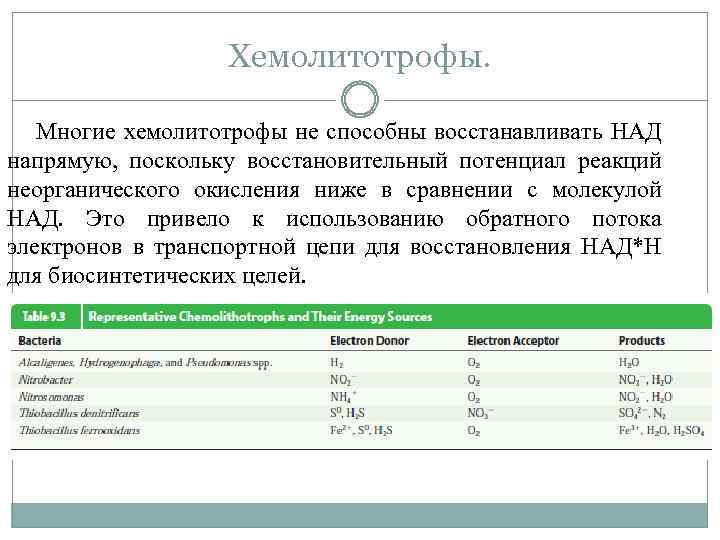 Хемолитотрофы. Многие хемолитотрофы не способны восстанавливать НАД напрямую, поскольку восстановительный потенциал реакций неорганического окисления