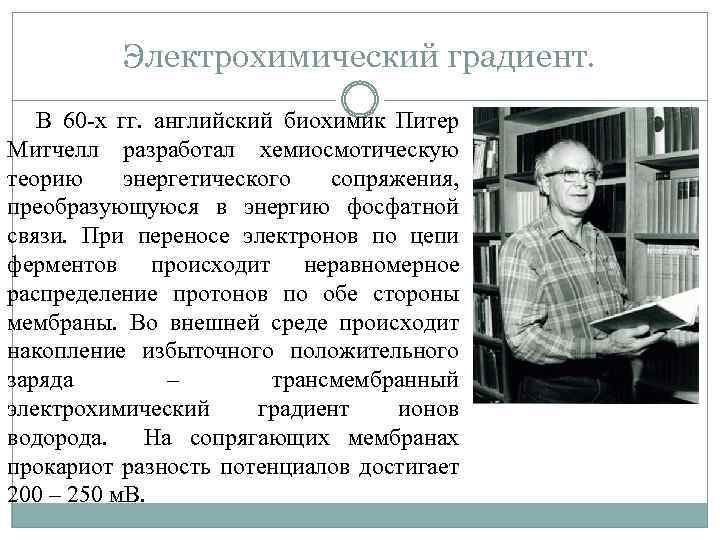 Электрохимический градиент. В 60 -х гг. английский биохимик Питер Митчелл разработал хемиосмотическую теорию энергетического