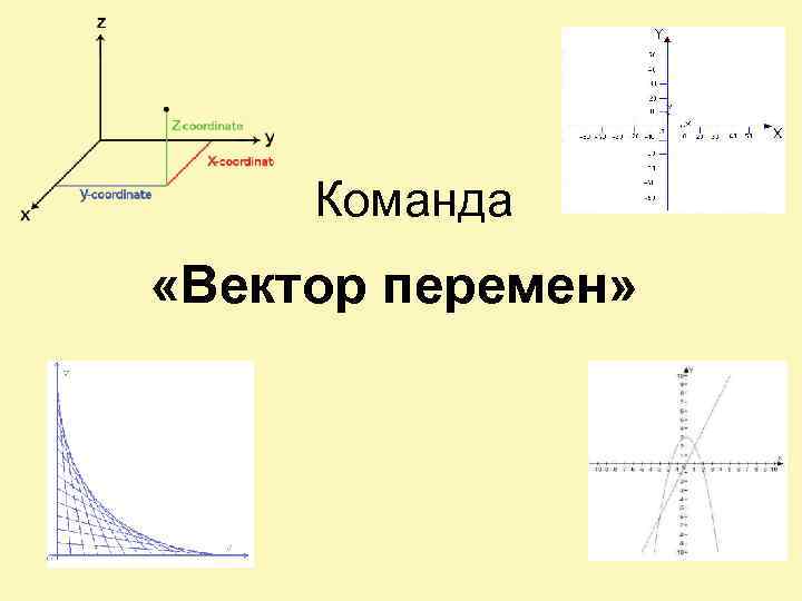 Команда «Вектор перемен» 