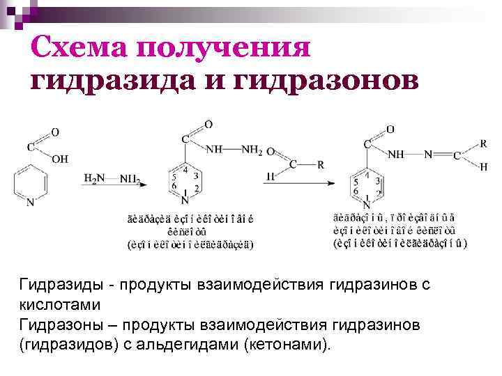 Получение полной. Гидразиды карбоновых кислот. Гидразида изоникотиновой кислоты формула. Гидразид янтарной кислоты. Получение гидразидов пропионовой кислоты.