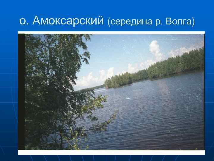 о. Амоксарский (середина р. Волга) 