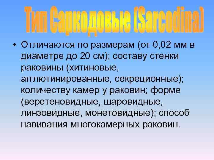  • Отличаются по размерам (от 0, 02 мм в диаметре до 20 см);