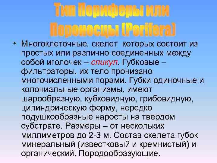  • Многоклеточные, скелет которых состоит из простых или различно соединенных между собой иголочек